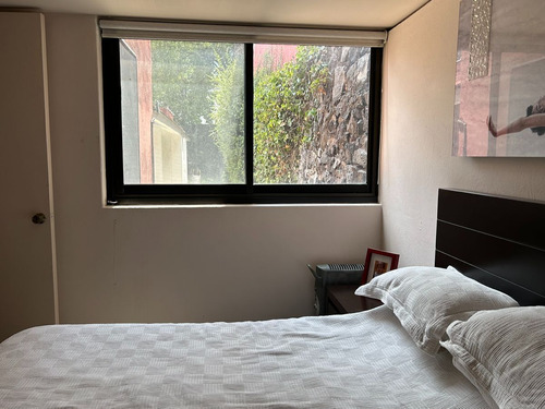 Jardines Del Pedregal, Casa Con Gran Jardín En Un Solo Nivel