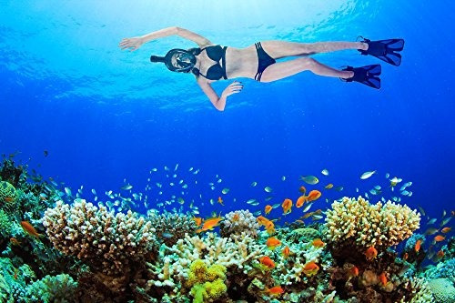 Imagen 6 de 6 de Conjunto De Máscara De Snorkel Con Vista Al Mar (negro, Gran