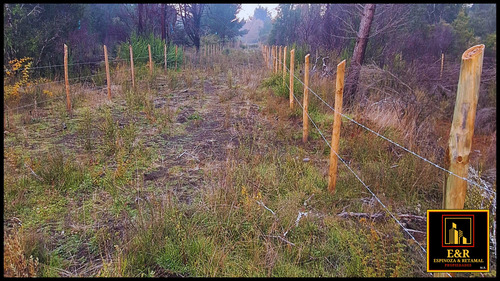 9 Lotes En Curaco ; Comuna De Sta. Juana (63112)