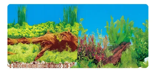 Respaldo Doble Vista Bosques Acuáticos 50 Cm P/acuario Lomas