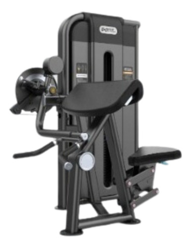 Camber Curl Y Triceps, Equipo Profesional C/ Peso Integrado