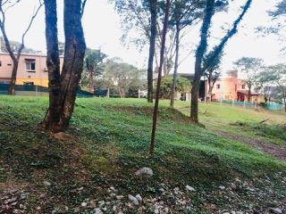 Imagen 3 de 4 de Terreno - Yerba Buena