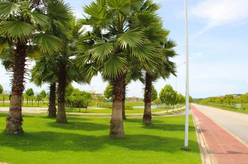 Imagem 2 de 10 de Terreno Em Condomínio Fechado Próximo Ao Verde - Te0468