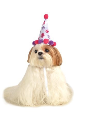 Rubies Girl Paw Print Pet Cumpleaños Hat