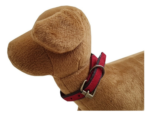 Collar Regulable Para Perro Talle M Lola Pets