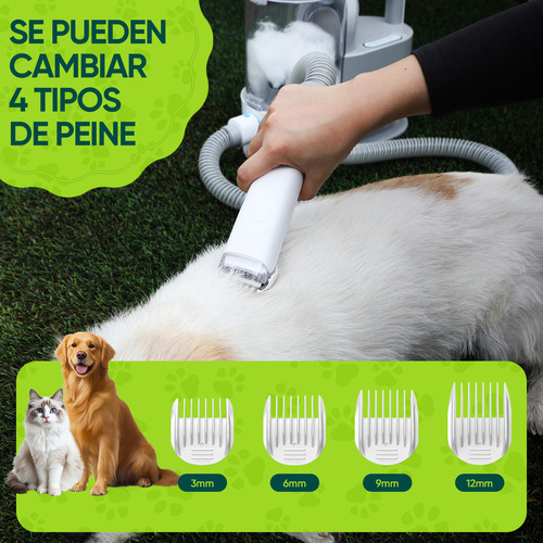 Karingbee Aspiradora de Aseo para Mascotas Secadora 8 en 1 Vacío y Soplar Aire 2 en 1 con 7 Cepillo para Perro y Gatos 2.5L Cubo de polvo