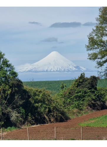 Parcelas En Frutillar, Vista A Volcanes, Bosques Y Praderas