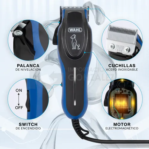 30KB 2001 null null null 3 3 9 6 2003 null wF vlBu Au13mM