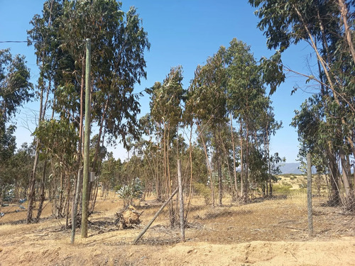 Oportunidad Parcela En Peralillo 5000 M2