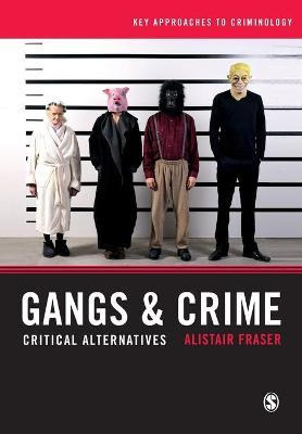 Libro Gangs & Crime : Critical Alternatives - Alistair Fr...