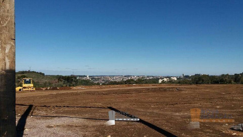 Imagem 5 de 6 de Terreno À Venda, 345 M² Por R$ 150.000,00 - De Lazzer - Caxias Do Sul/rs - Te0105