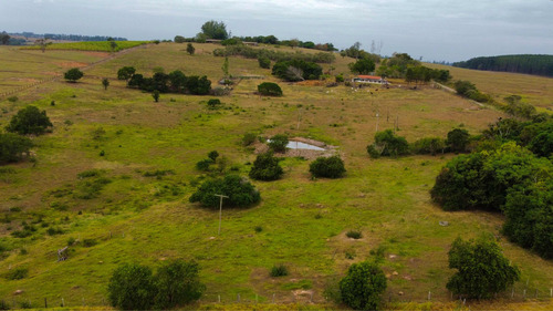 Sítio Terreno 42,000m2 Conchas Sp
