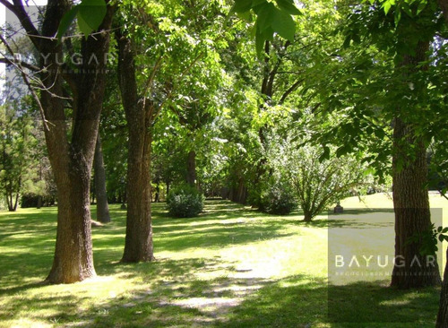 Imagen 15 de 17 de Venta Gran Casa Quinta En La Lonja Bayugar Negocios Inmobiliarios
