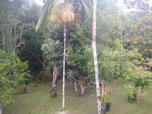 Imagem 12 de 30 de Linda Chácara Para Moradia Ou Lazer Em Condomínio Fechado. - 452 - 68732281