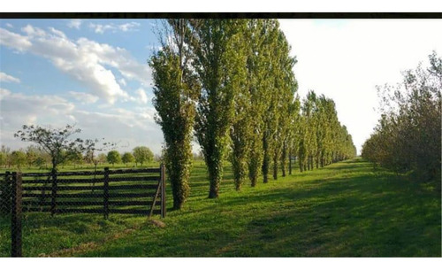 Haras De Funes