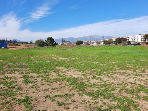 Sitio Comercial En Venta En Limache