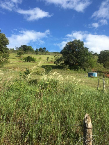 Imagem 17 de 21 de Excelente Fazenda 3,5 Hec, Lazer, Qualidade De Vida Pra Você Em Vitória, Aceito Imóvel/carro - Fz12861v