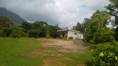 Venta De Finca En Lomas De Nirgua Yaracuy. - Inmobiliaria Maggi 1444