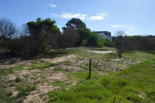 Imagen 3 de 4 de Terreno Oportunidad En Arenas De José Ignacio