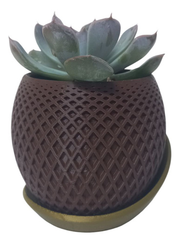 Maceta Ideal Para Tus Plantas Pequeñas Marrón Oscuro Maceta Elegante