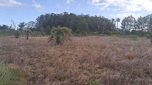 Campo En Osvaldo Magnasco