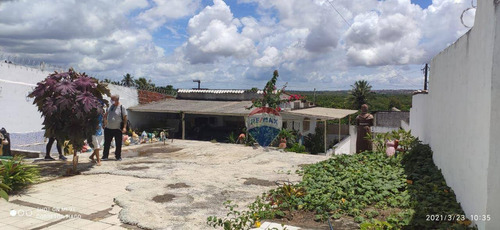Imagem 3 de 17 de Granja Com Galpão E 6 Casas À Venda Em Felipe Camarão - Natal/rn - Ch0009