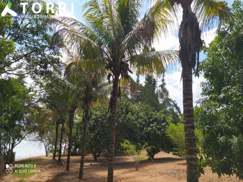 Imagem 14 de 27 de Chácara À Venda Em Barão De Antonina/sp Bairro Parte Norte - Ch00396 - 69572610