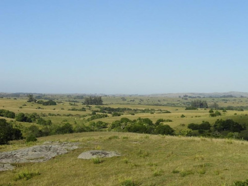 Campo En Venta En Garzón Rural