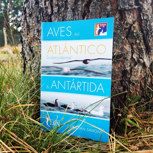 Aves Del Atlantico Y Antartida Savigny, En Patagonia