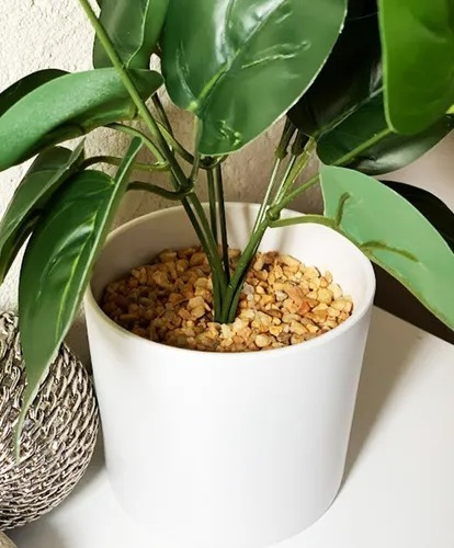 Imagen 3 de 10 de Plantas Artificiales De Escritorio Combo Pack X2