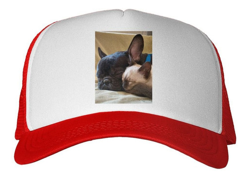 Gorra Gato Siames Y Bulldog Durmiendo