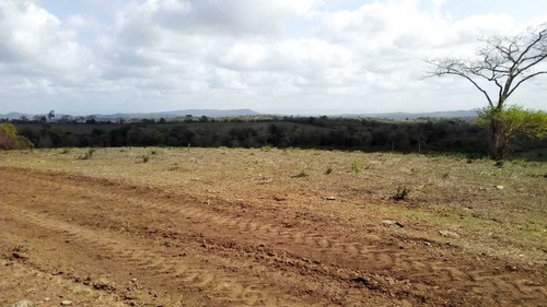 Imagen 5 de 30 de Finca En Mirimire Estado Falcon De 941 Hectáreas