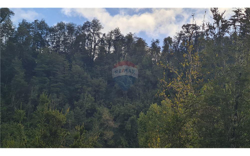 Parcela Con Bosque Nativo En Puerto Varas