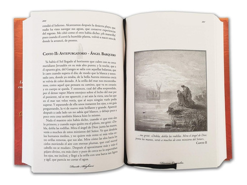 Imagen 6 de 10 de Divina Comedia (t.dura Sobrecubierta Ilustrado) / Alighieri