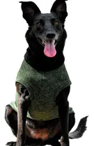 Comprar Abrigos Buzos Poleras Ropa Para Perros Grandes   Neigers