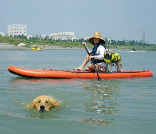 Imagen 6 de 13 de Tabla Sup Inflable 8`5 Surf Paddle Coral Sea Hifei Ap Nauti