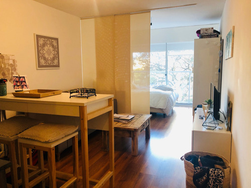 Imagen 12 de 12 de Venta Con Renta De Monoambiente En Marina De Ellauri Ii