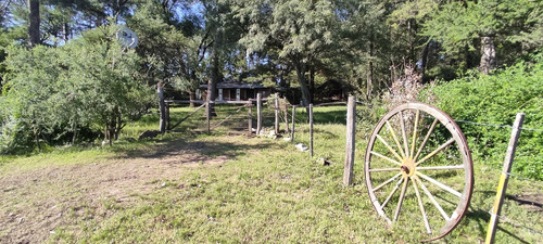 Campo De 65173 M2 En Los Reartes Con Luz Y Agua