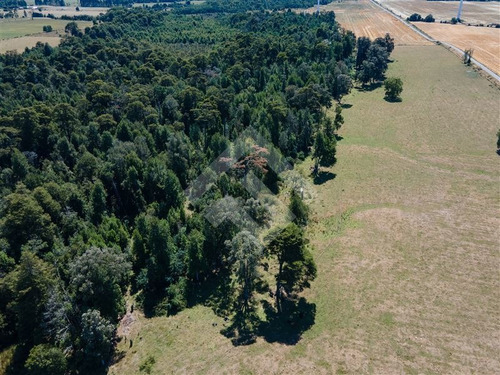 Imagen 16 de 19 de Sitio En Venta En Brisas De Loncotoro