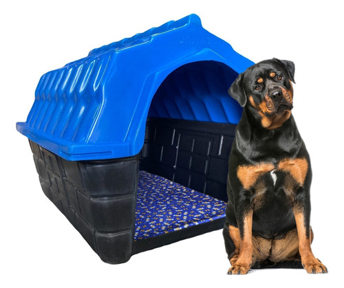 Casa Casinha Plástica Cachorro Cães Número 6 Cor Azul