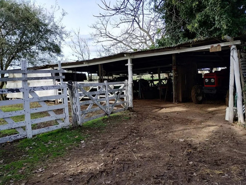 Campo Mixto Brandsen, 125 Ha.