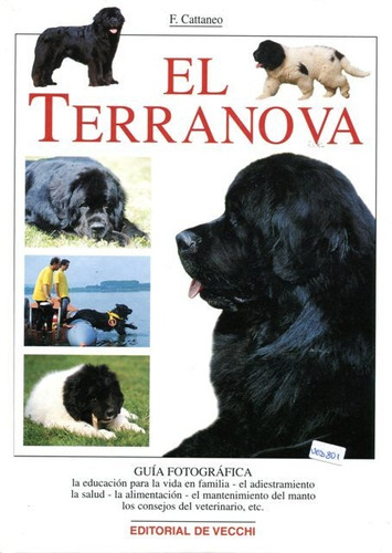 El Terranova, Filippo Cattaneo, Vecchi