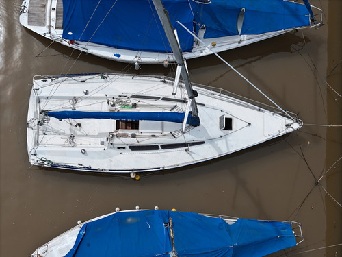 Velero Fayd 31