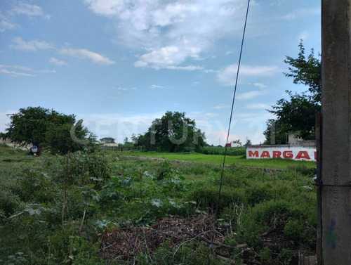 Terreno En Renta En Adolfo López Mateos, Yecapixtla, Morelos