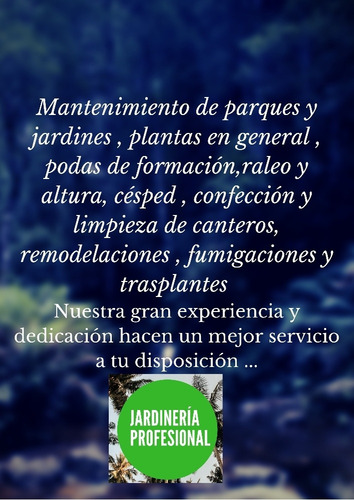 Imagen 4 de 5 de Servicio Profesional De Jardinería