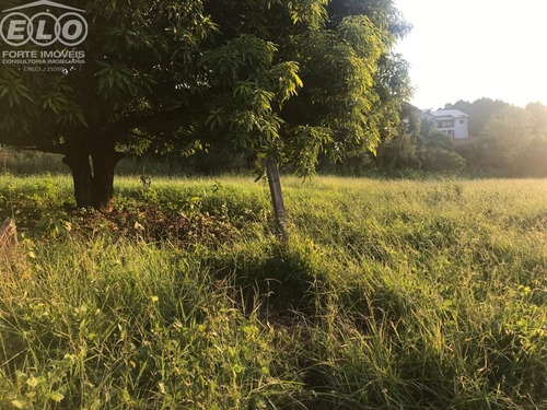 Imagem 7 de 7 de Terreno - Tr02045 - 69523579