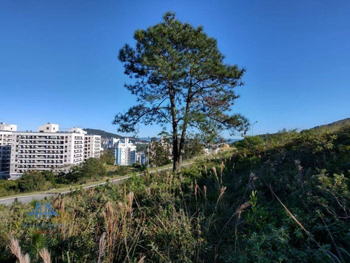 Imagem 5 de 19 de Terreno À Venda, 450 M² Por R$ 787.000,00 - Itacorubi - Florianópolis/sc - Te0280