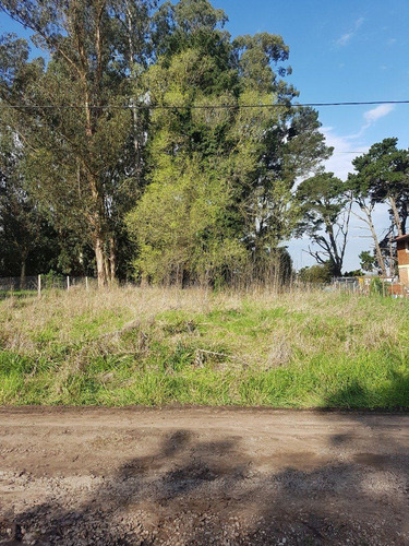 Imagen 1 de 6 de Lote Sierra De Los Padres Zona Pierina Y Pascual