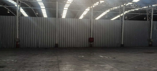 Bodega C: 540 M2 (100880)