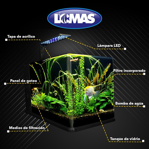 Imagen 5 de 7 de Kit Acuario Equipada Pecera Con Lampara 14 Lt De Escritorio